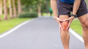 ligamento