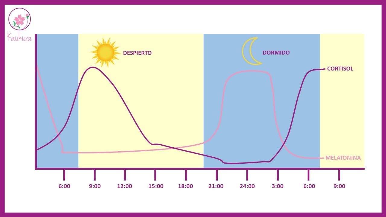 TABLA-CORTISOL-MELATONINA